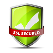 SSL Certified Website Icon